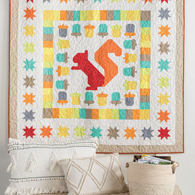 Quilts for Autumn Book - Jacquelynne Steves