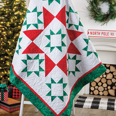 'Tis the Season for Quilting Book - Jacquelynne Steves