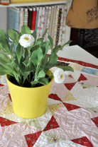 Charming Little Toppers Quilt Pattern - Digital - Jacquelynne Steves